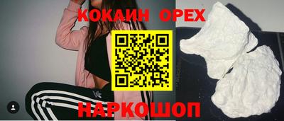 apvp Аша