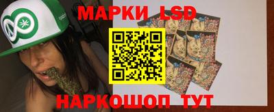 apvp Аша