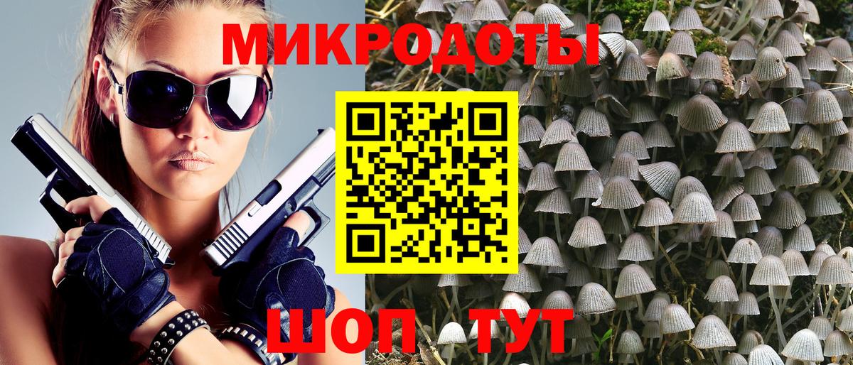 купить наркотики цена  Вход с VPN  Каменск-Шахтинский  Псилоцибиновые грибы ЛСД 